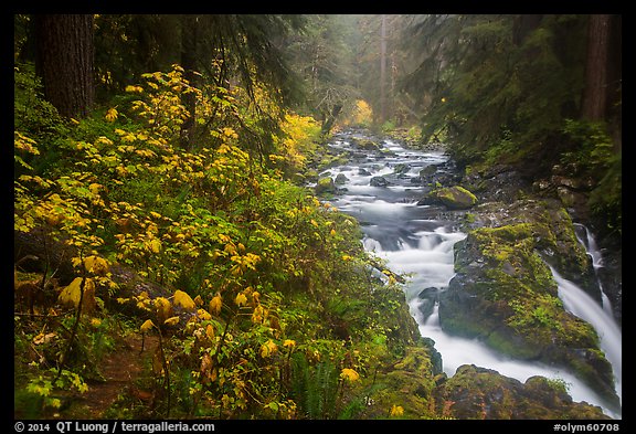 Sol Duc River in autumn. Olympic National Park, Washington, USA.