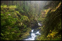 Gorge of Sol Duc River in autumn. Olympic National Park, Washington, USA.