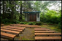 Amphitheater, Mora Campground. Olympic National Park ( color)