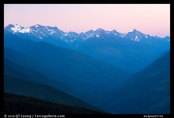 Olympic Mountains at dawn. Olympic National Park (color)
