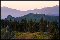 Forested ridge, Hurricane Hill. Olympic National Park ( color)