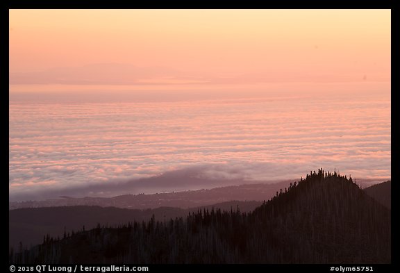 Sea of clouds above Strait of Juan de Fuca at sunrise. Olympic National Park, Washington, USA.