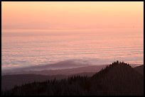 Sea of clouds above Strait of Juan de Fuca at sunrise. Olympic National Park ( color)