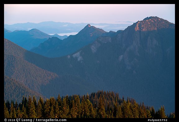 Mt Fitzhenry at sunrise. Olympic National Park (color)