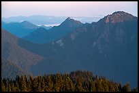 Mt Fitzhenry at sunrise. Olympic National Park ( color)