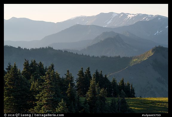 Olympic mountain ridges from Hurricane Hill, early morning. Olympic National Park (color)