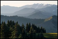 Olympic mountain ridges from Hurricane Hill, early morning. Olympic National Park ( color)