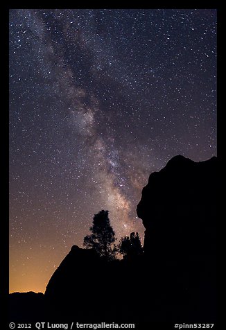 Rocks and pine trees profiled against starry sky with Milky Way. Pinnacles National Park, California, USA.