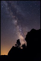 Rocks and pine trees profiled against starry sky with Milky Way. Pinnacles National Park ( color)