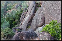 Rhyolite Cliff. Pinnacles National Park ( color)