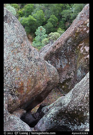 Rock finns below Condor Gulch overlook. Pinnacles National Park, California, USA.
