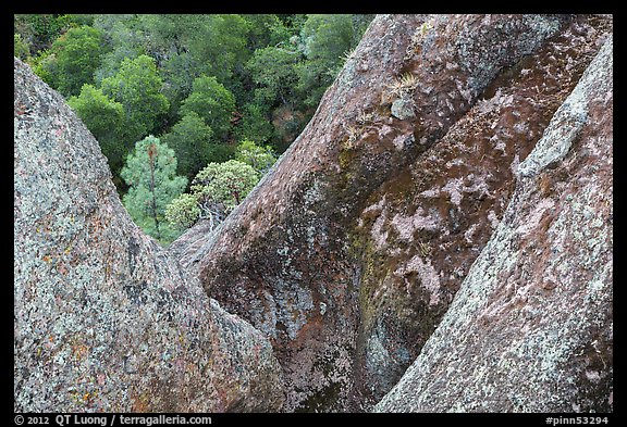 Lichen-covered volcanic rock finns. Pinnacles National Park, California, USA.