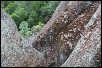 Lichen-covered volcanic rock finns. Pinnacles National Park ( color)