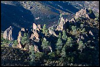 Pine trees and pinnacles. Pinnacles National Park, California, USA. (color)