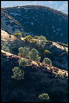 Ridges of rolling hills. Pinnacles National Park ( color)