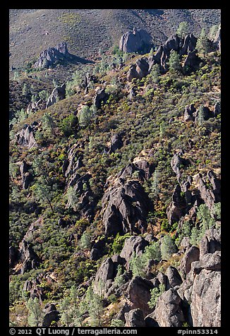 Slope with mediterranean chaparral and rock towers. Pinnacles National Park, California, USA.