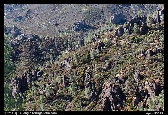 Volcanic rocks and chaparral. Pinnacles National Park, California, USA.