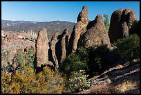 Rhyolite spires. Pinnacles National Park ( color)