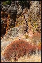 Dried wildflowers and colorful section of rock wall. Pinnacles National Park ( color)
