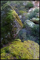 Boulders in gully, Bear Gulch. Pinnacles National Park, California, USA. (color)