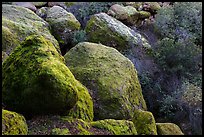 Boulders and trees in Bear Gulch. Pinnacles National Park ( color)