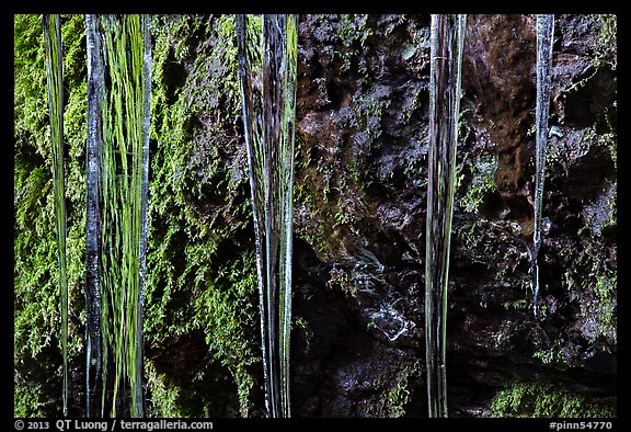 Icicles and moss, Balconies Cave. Pinnacles National Park, California, USA.