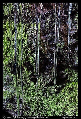 Icicles and mossy rocks, Balconies Caves. Pinnacles National Park, California, USA.