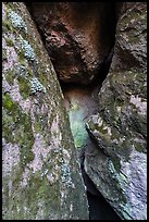 Moss and Rocks, Balconies Cave. Pinnacles National Park, California, USA. (color)