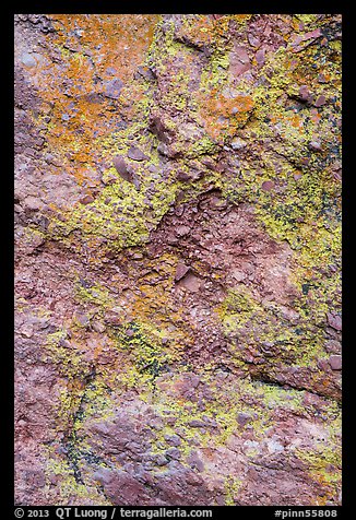 Colorful lichen and rock. Pinnacles National Park, California, USA.