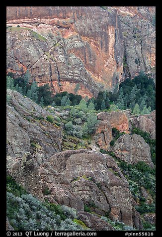 Cliffs and trees. Pinnacles National Park, California, USA.