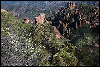 Blooms and pinnacles in spring. Pinnacles National Park ( color)