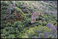 Hillside and rocks in spring. Pinnacles National Park ( color)