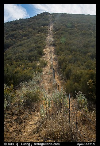 Pig fence climbing steep hill. Pinnacles National Park (color)