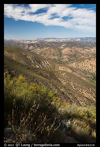 Chaparal-covered hills. Pinnacles National Park (color)