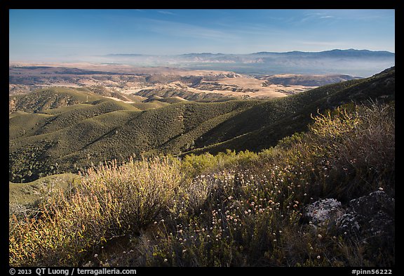 Wildflowers and Salinas Valley. Pinnacles National Park, California, USA.