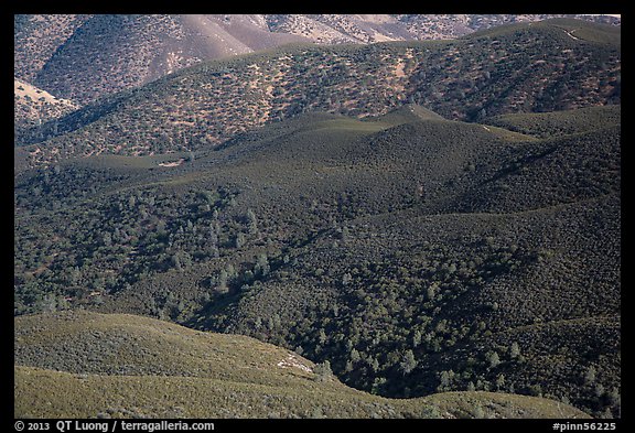 Forested hills seen from above. Pinnacles National Park, California, USA.