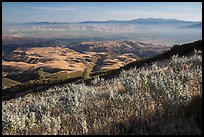 View over Salinas Valley from South Chalone Peak. Pinnacles National Park ( color)
