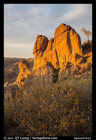 Shrubs and rock towers, autumn sunset. Pinnacles National Park, California, USA.