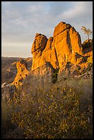 Shrubs and rock towers, autumn sunset. Pinnacles National Park ( color)