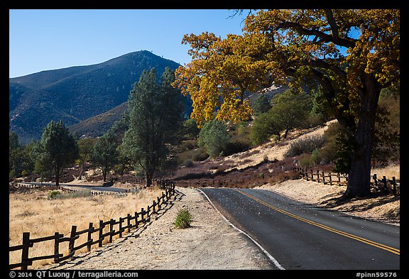 Bear Valley road in autumn. Pinnacles National Park (color)