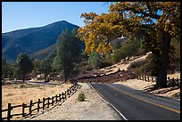 Bear Valley road in autumn. Pinnacles National Park ( color)