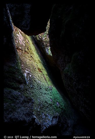 Mossy slab, Bear Gulch Lower Cave. Pinnacles National Park (color)
