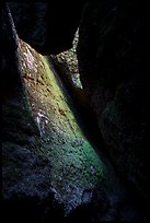 Mossy slab, Bear Gulch Lower Cave. Pinnacles National Park ( color)