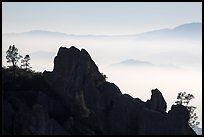 Silhouetted pinnacles and trees, foggy mountains. Pinnacles National Park ( color)