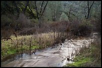 Chalone Creek flowing. Pinnacles National Park ( color)