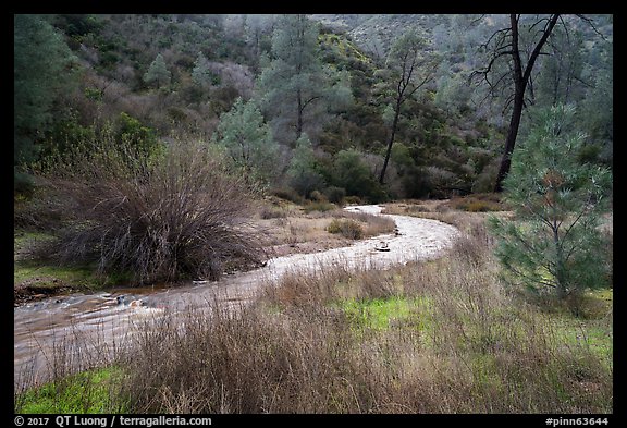 Chalone Creek in winter. Pinnacles National Park (color)
