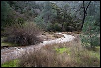Chalone Creek in winter. Pinnacles National Park ( color)