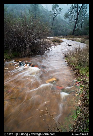 Chalone Creek flowing fast on rainy day. Pinnacles National Park (color)