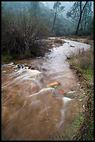 Chalone Creek flowing fast on rainy day. Pinnacles National Park ( color)