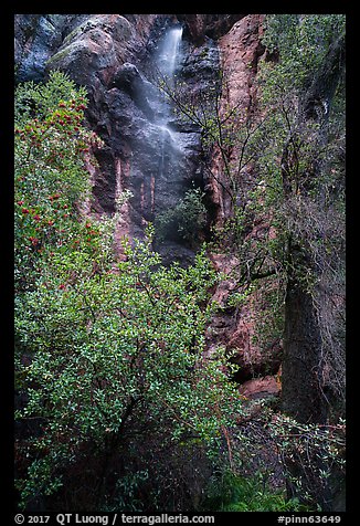 Cliff and Moses Spring. Pinnacles National Park, California, USA.
